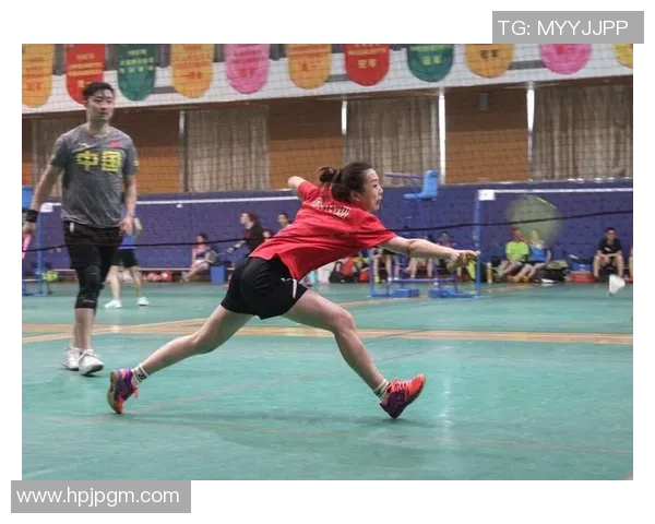 羽毛球深度探讨：揭秘杭州羽毛球队的成功运营模式与发展策略